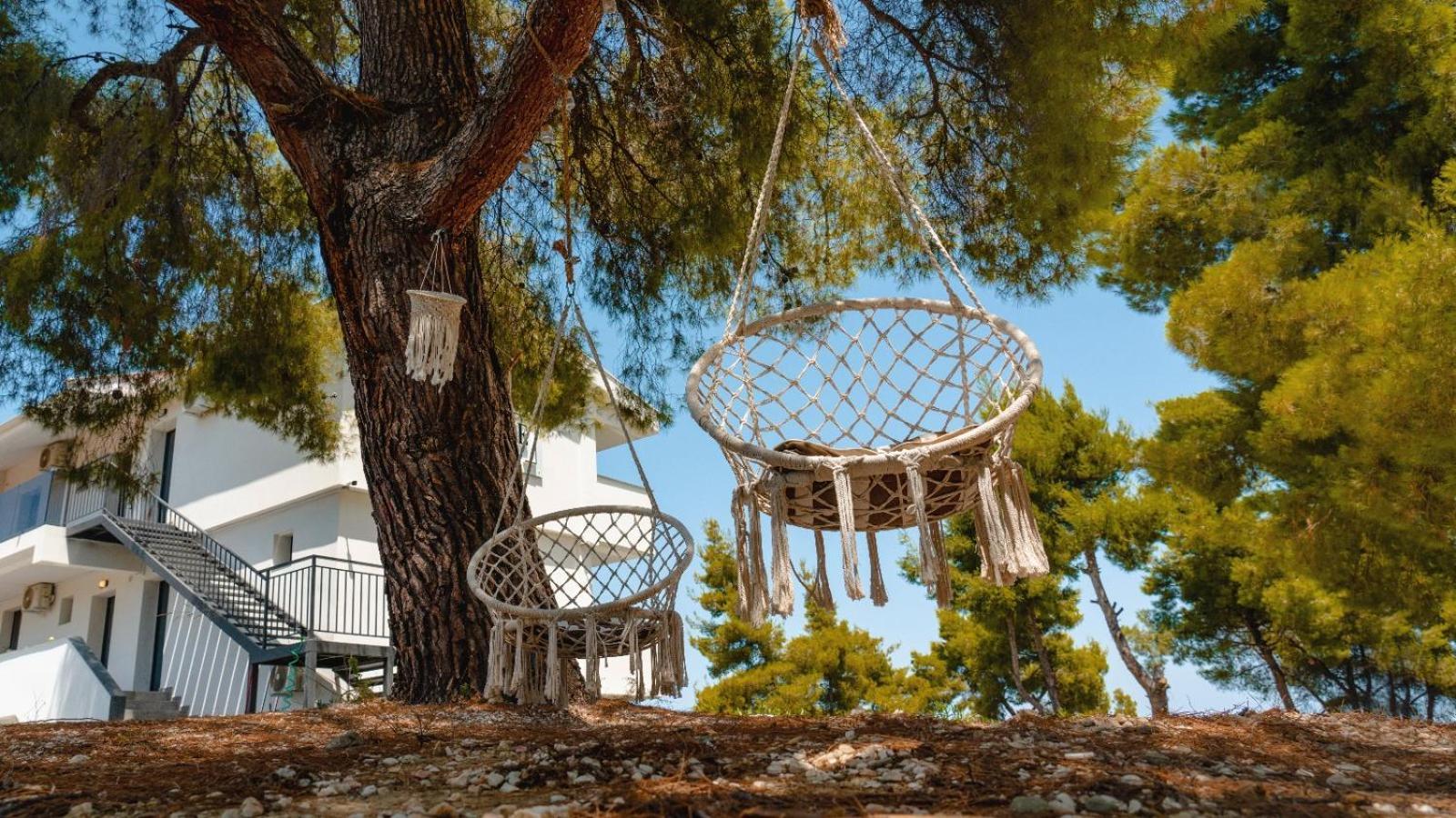 Pine Resort Polychrono Dış mekan fotoğraf