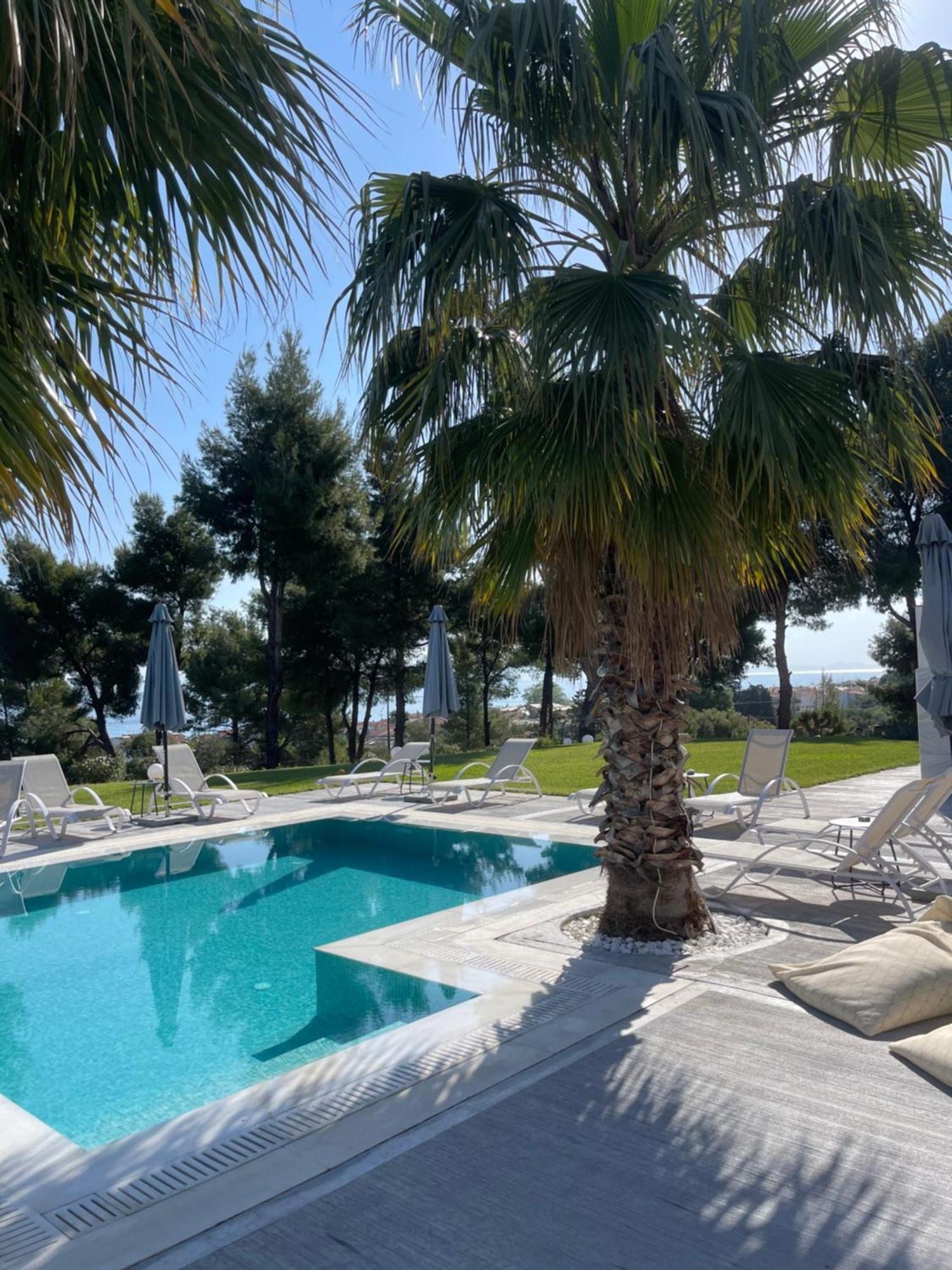 Pine Resort Polychrono Dış mekan fotoğraf